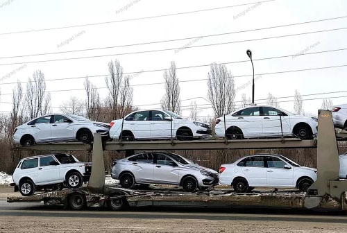 Веста борнео.jpg